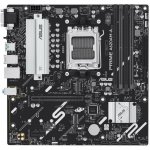 Asus PRIME A620AM-A-CSM 90MB1MY0-M0EAYC – Hledejceny.cz