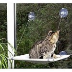 Karlie odpočívadlo na okno 51,5 x 31 x 2,5 cm – Zbozi.Blesk.cz