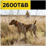 Dogtra 2600 T&B – Hledejceny.cz
