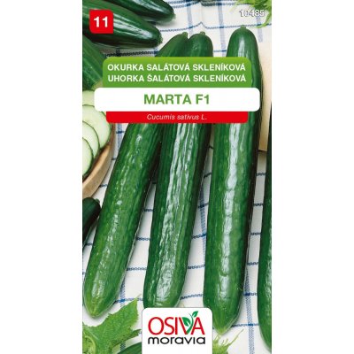 Okurka salátová (hadovka) Marta F1 - 10 semen – Zboží Mobilmania
