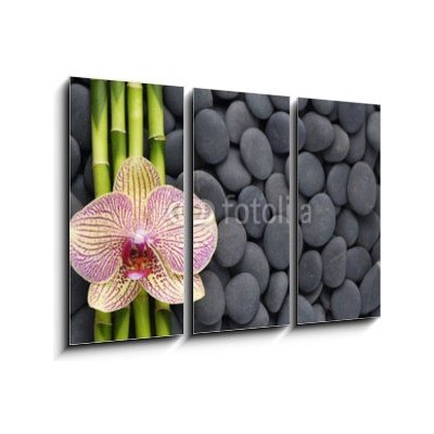 Obraz 3D třídílný - 105 x 70 cm - Gorgeous orchid and thin bamboo grove on pebbles Nádherná orchidej a tenká bambusová háj na oblázcích – Zboží Mobilmania