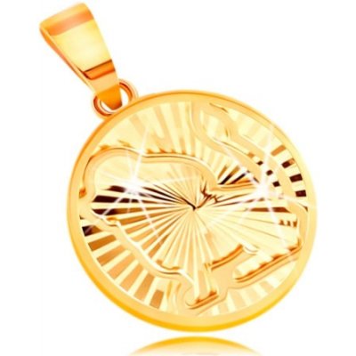 Šperky Eshop Kruhový 14K zlatý přívěsek lesklé paprskovité zářezy znamení LEV S2GG211.42 – Zboží Mobilmania