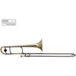 Roy Benson TT 236 Bb Tenor Pro Serie lak – Zboží Dáma