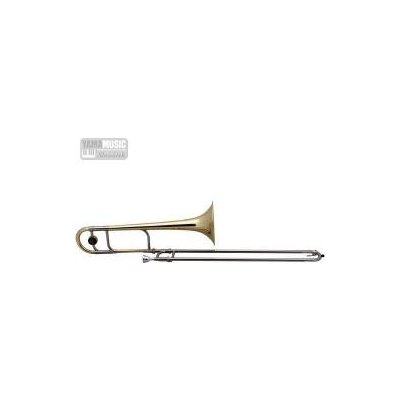 Roy Benson TT 236 Bb Tenor Pro Serie lak – Zboží Dáma