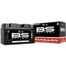 BS-Battery BB12AL-A2