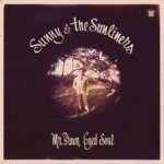 Sunny & The Sunliners - Mr. Brown Eyed Soul LP – Zboží Mobilmania