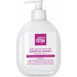 Gentle Day Intimate Wash fluid pro intimní hygienu s kyselinou mléčnou a extraktem z bylin 250 ml – Zbozi.Blesk.cz