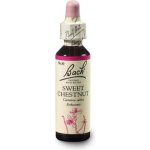 Bachovy květové esence Kaštan jedlý Sweet Chestnut 20 ml – Hledejceny.cz