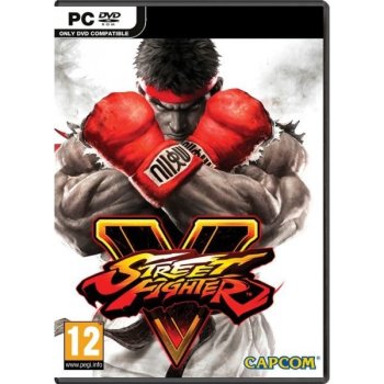 Street Fighter V