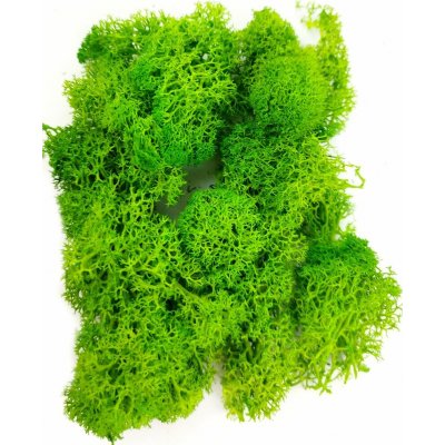 Stabilizovaný preparovaný mech lišejník do pryskyřice zelený 20 g Barva: Světle zelená – Sleviste.cz