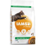 Iams Cat Adult Ocean Fish 2 kg – Hledejceny.cz