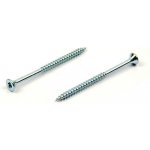 Univerzální vrut do dřeva 4x60/36 TORX zinek bílý, částečný závit – Hledejceny.cz