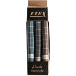 Etex Pánské látkové kapesníky v malé krabičce M3 - 3 ks – Zboží Dáma