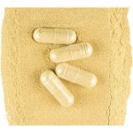 Šatavari kapsle - prášek z kořene 100 kapslí – Zboží Mobilmania