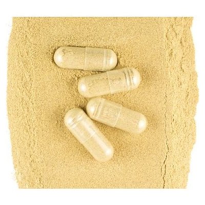 Šatavari kapsle - prášek z kořene 100 kapslí – Zboží Mobilmania