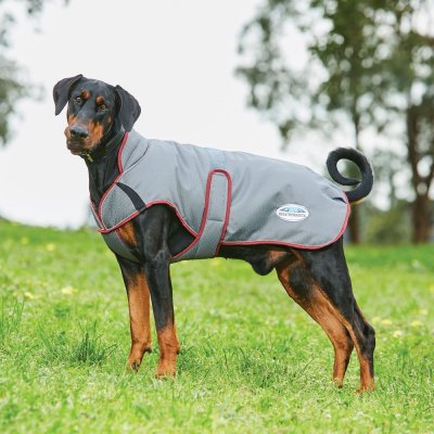 Weatherbeeta Deka pro psa Comfitec Premier Free Parka Deluxe – Zboží Mobilmania