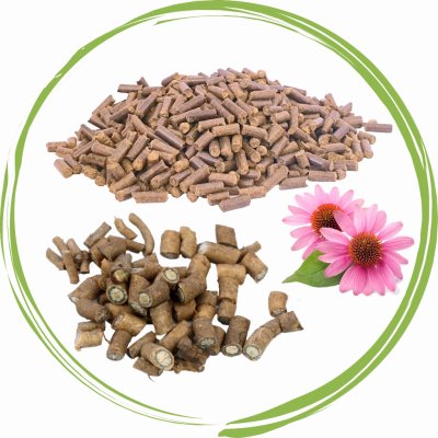 Dromy Echinacea kořen granule 1 kg – Zbozi.Blesk.cz