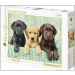 Clementoni Tři labradoři HQC 1000 dílků – Zboží Dáma