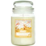 Airpure Vanilla Cupcake 510 g – Hledejceny.cz