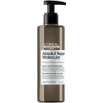 L'ORÉAL Professionnel Expert Absolut Repair Molecular sérum na poškozené vlasy 250 ml – Hledejceny.cz