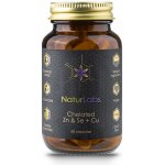 NaturLabs Zinek a Selen chelátové + Měď 60 kapslí – Hledejceny.cz