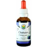 Salvia Paradise Eleuterokok tinktura 50 ml – Hledejceny.cz