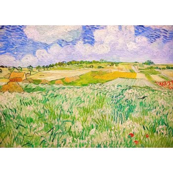 Enjoy Vincent Van Gogh: Rovina poblíž Auvers 1000 dílků