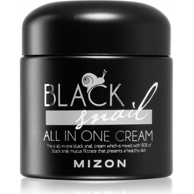 Mizon 90% Black Snail All In One Cream pleťový krém s filtrátem sekretu Afrického černého hlemýždě 75 ml – Zbozi.Blesk.cz