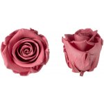Hlavy růží - princess 16 ks Vintage pink - starorůžová – Hledejceny.cz