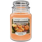 Yankee Candle Home Inspiration Pumpkin Harvest 538 g – Zboží Dáma