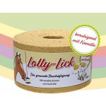 S.I.N. Hellas Koňské lízátko Lolly Lick máta a eukalyptus 750g Eukaliptus a máta – Zboží Mobilmania