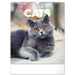nástěnný Kočky 30 x 34 cm 2026 – Sleviste.cz