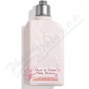 L´Occitane Fleurs de Cerisier tělové mléko Cherry Blossom 250 ml