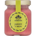 Včelařství Domovina Med s jahodami 75 g – Zboží Dáma