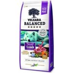 Velxara Balanced FM Dog Adult Monoprotein Lamb & Rice 12 kg – Hledejceny.cz