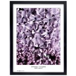 Tradag Rámeček Natura černý 40x50 – Sleviste.cz