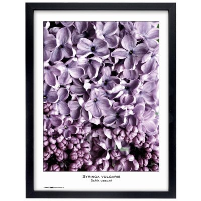 Tradag Rámeček Natura černý 40x50 – Sleviste.cz