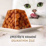 Gourmet Revelations s lososem v želé 2 x 57 g – Zboží Mobilmania