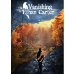 The Vanishing of Ethan Carter – Hledejceny.cz