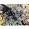 Figurka Cinderwings Netopíří dráček s křídly galakticky 3D tisk