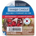 Yankee Candle vosk do aroma lampy Red Raspberry 22 g – Zboží Dáma