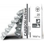 VetaPro CarbonActive tráviaci adsorbent pre psov a mačky 20 kapsúl – Hledejceny.cz