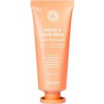 Maria Nila Booster Masque Head & Heal 50 ml – Hledejceny.cz