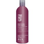 Trend Up Perfect Blonde vystříbřující šampón 300 ml – Zboží Dáma