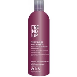 Trend Up Perfect Blonde vystříbřující šampón 300 ml