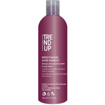 Trend Up Perfect Blonde vystříbřující šampón 300 ml – Zbozi.Blesk.cz