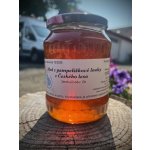 Včelařství Thomayer Med z pampeliškové louky z Českého lesa 900 g – Zbozi.Blesk.cz