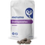 Malumo Ostropestřec Extrakt 30 ks – Hledejceny.cz