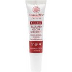 Domus Olea Toscana Lesklý balzám na rty 10 ml – Zboží Dáma