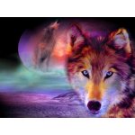 Norimpex Diamantové malování Vlčí pohled 30 x 40 cm – Hledejceny.cz